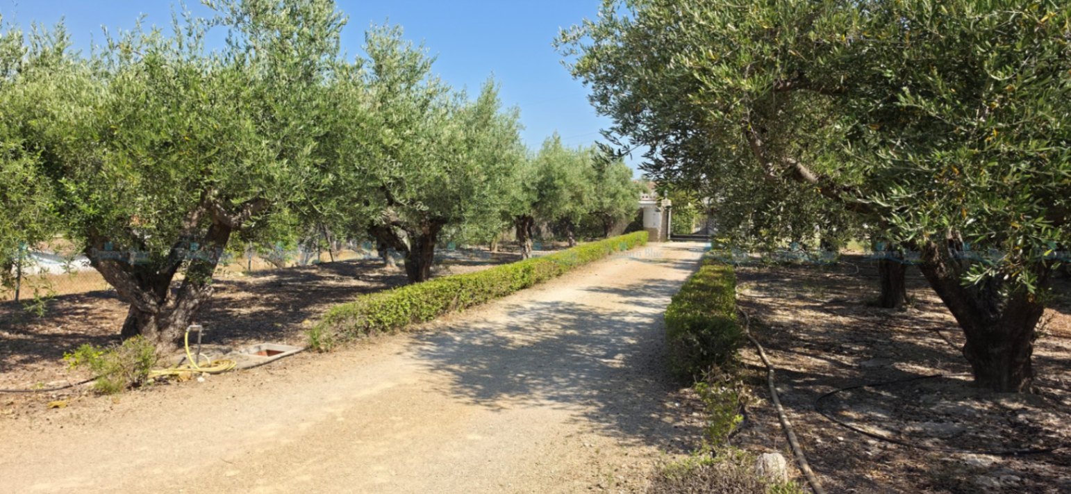 Villa for sale in Ontinyent