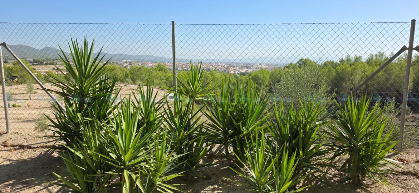 Villa for sale in Aielo de Malferit