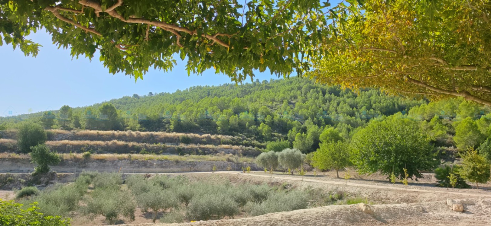 Villa for sale in Aielo de Malferit