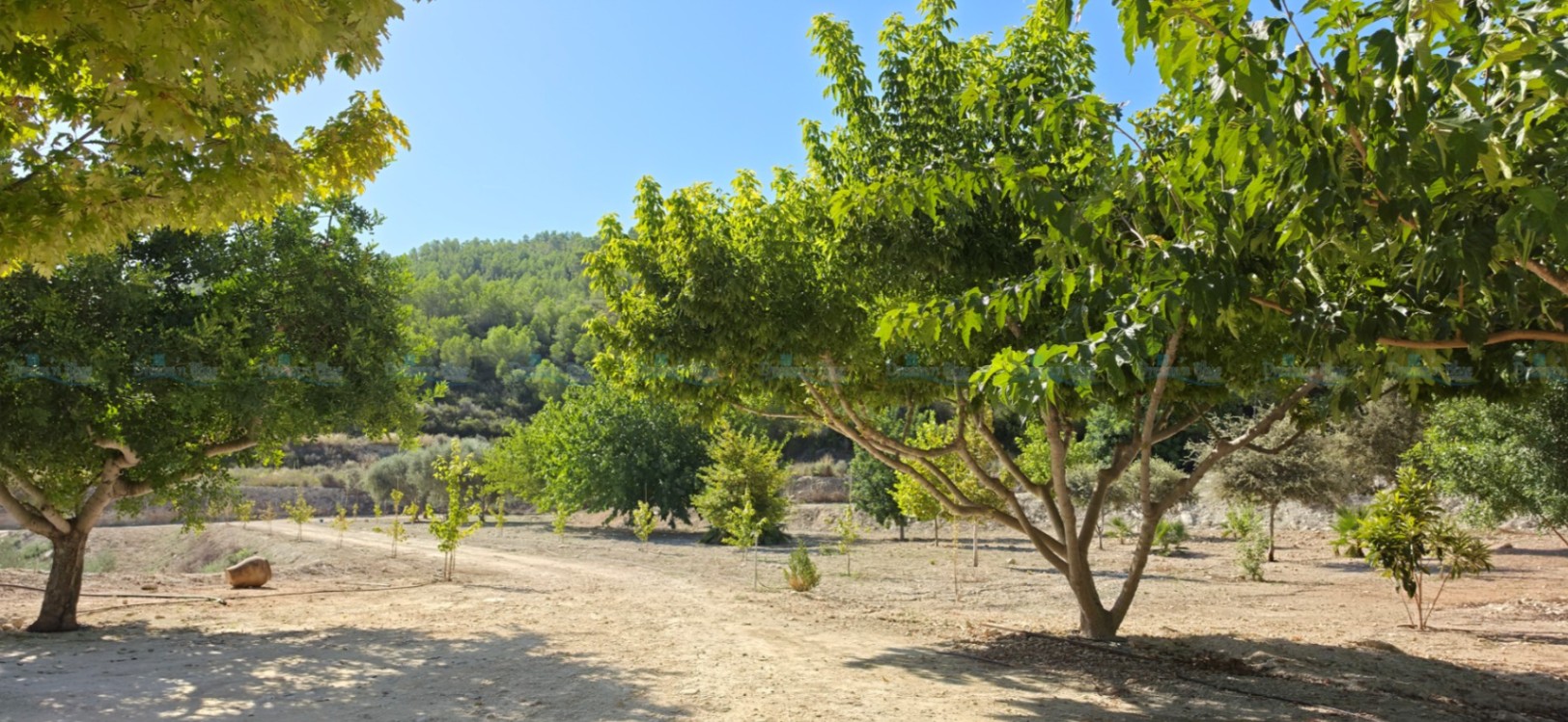 Villa for sale in Aielo de Malferit