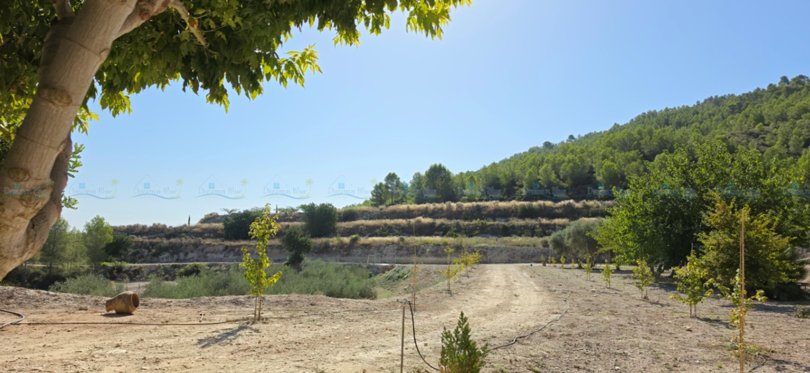 Villa for sale in Aielo de Malferit