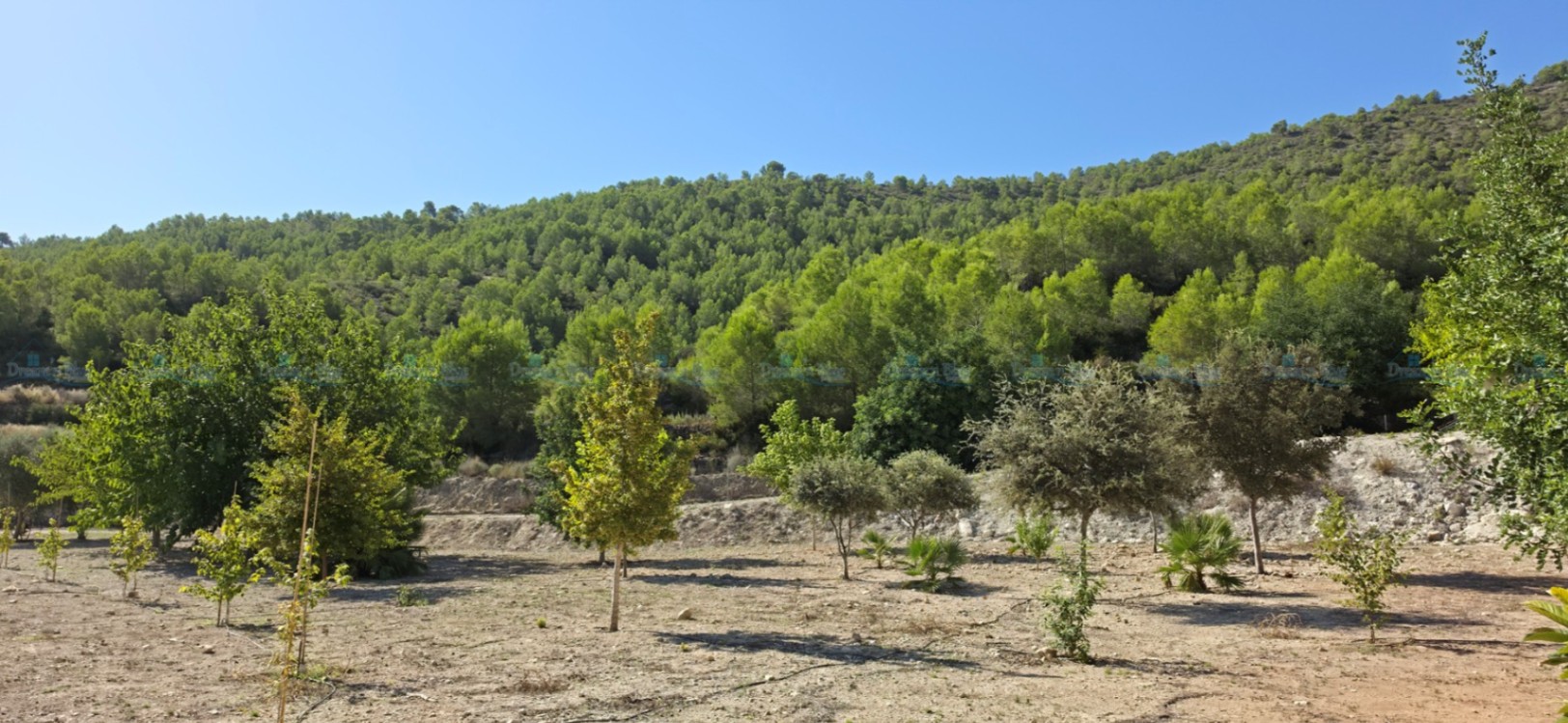 Villa for sale in Aielo de Malferit