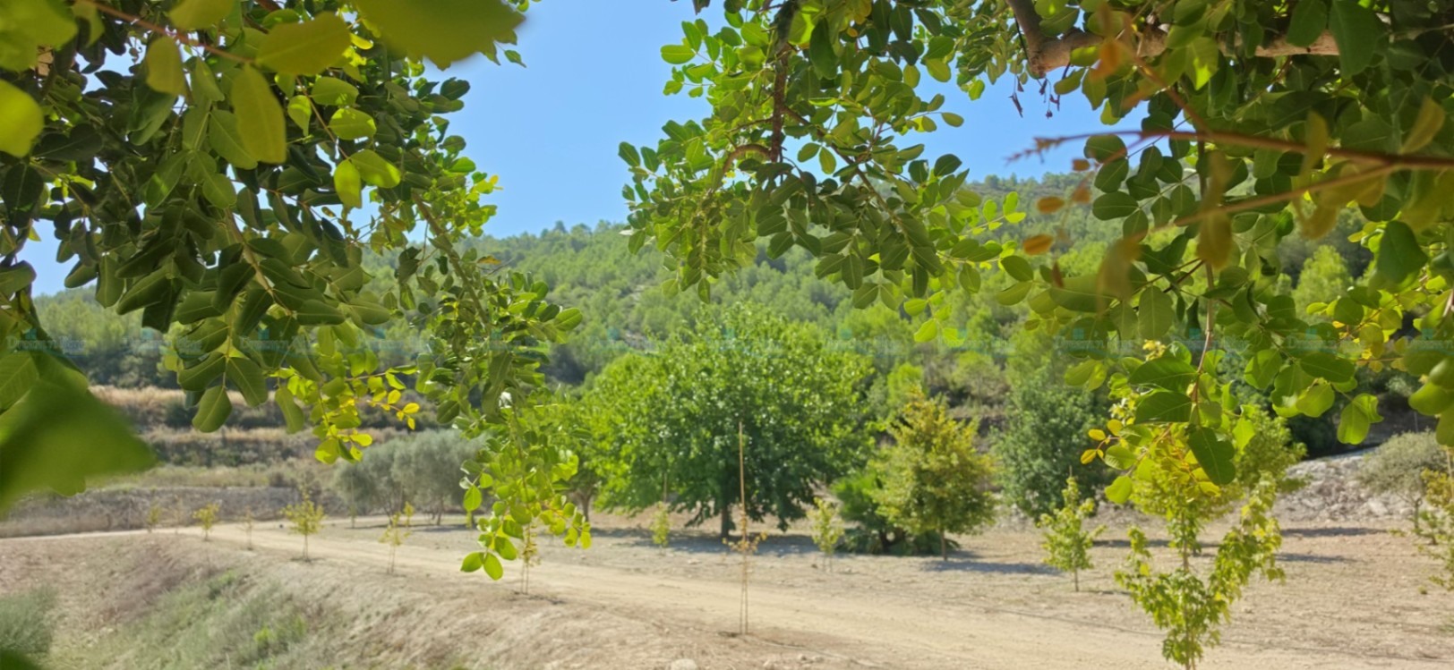 Villa for sale in Aielo de Malferit