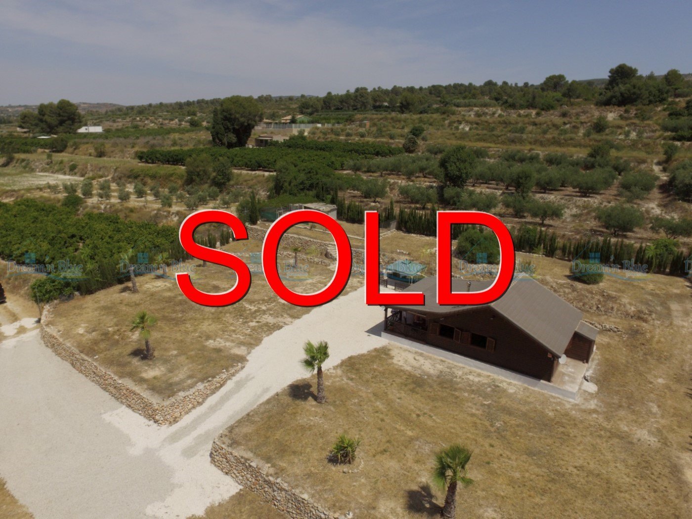 Marina and Mark Bogaerts (Belgium) - Buyers