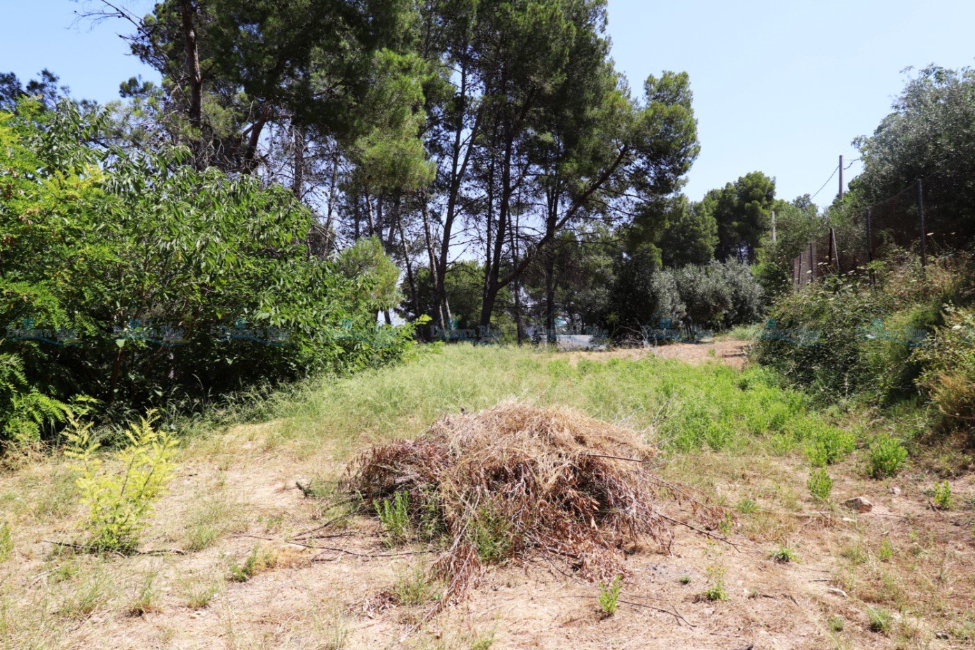 Land for sale in Ontinyent