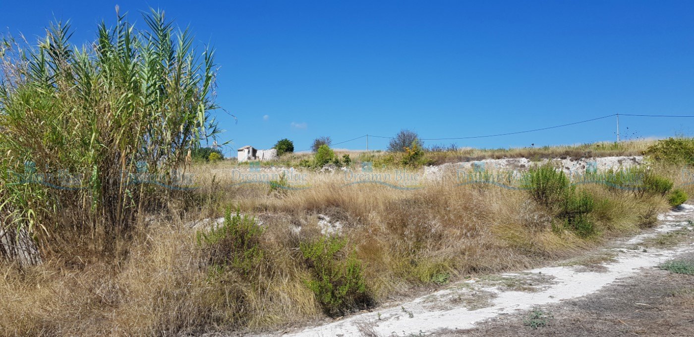 Land for sale in Albaida