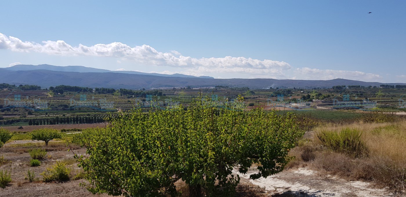 Grundstücke zu verkaufen in Albaida
