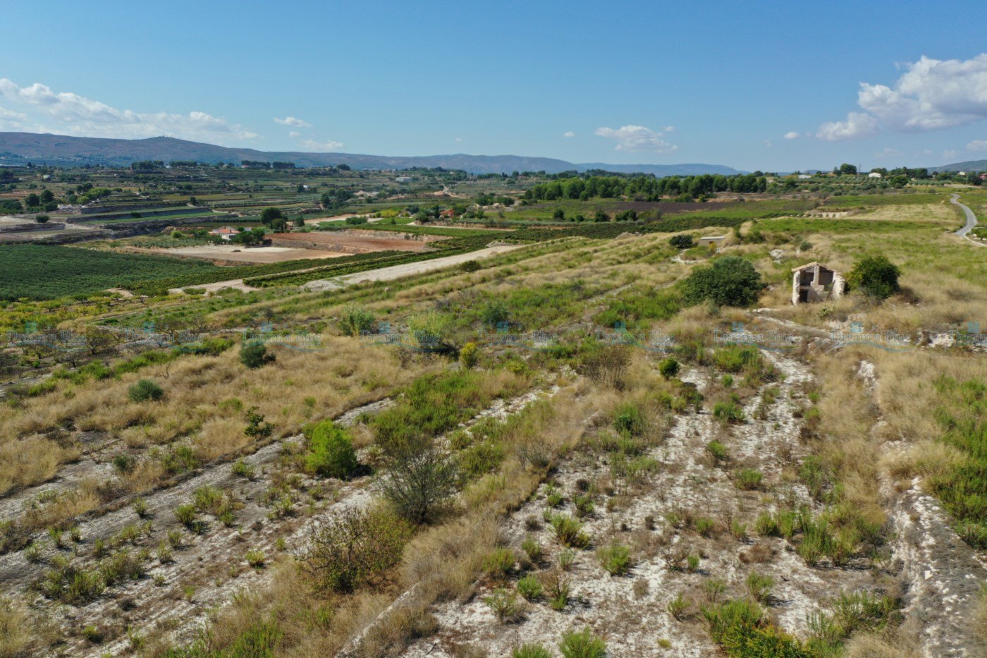 Land for sale in Albaida